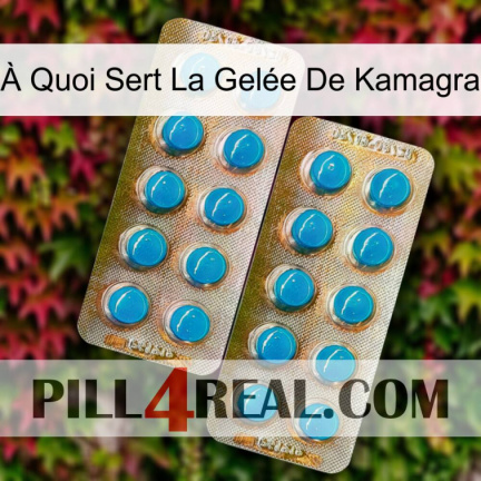 À Quoi Sert La Gelée De Kamagra new08